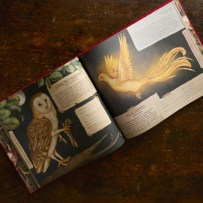 A Natural History of Magical Beasts