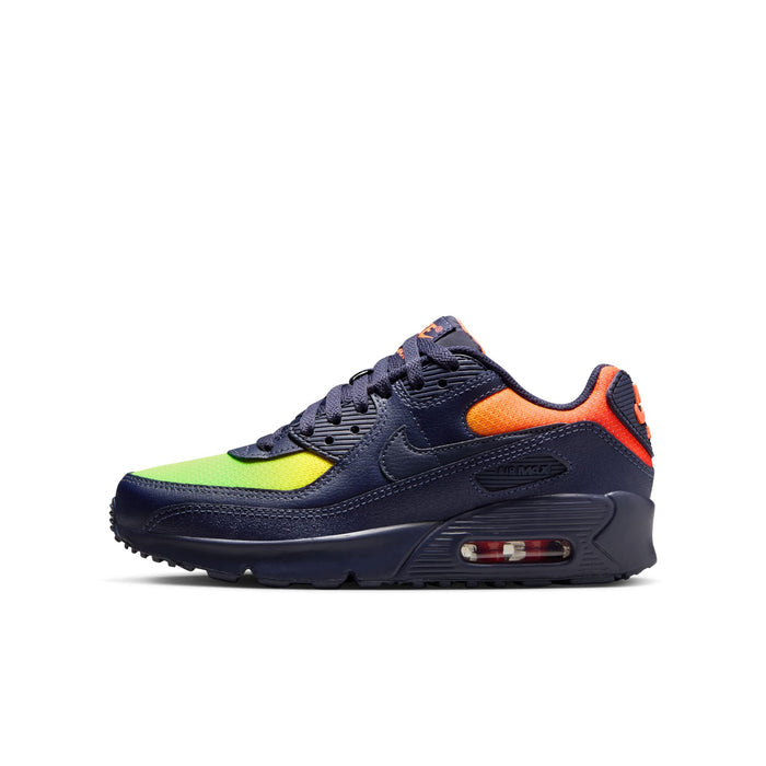 CD6864-701 - NIKE AIR MAX 90 LTR (GS)