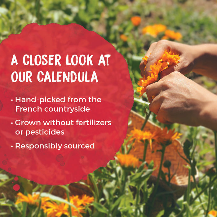 Calendula Gel