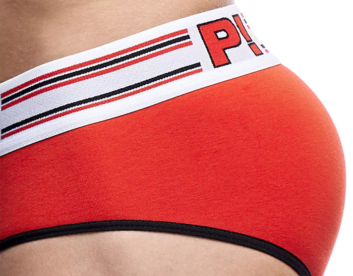 CIRCUIT BRIEF