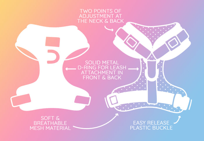 The Sassy Woof Dog Four Piece Bundle in Neon Purple features two adjustment points at the neck and back, soft breathable mesh, sturdy metal D-rings front and back for leash attachment, and an easy-release plastic buckle.