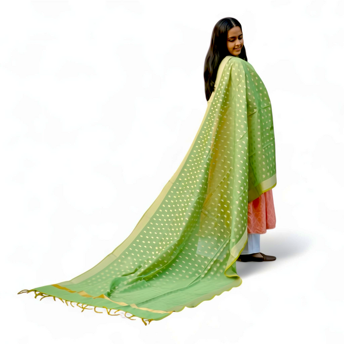 Shawl - Mojopanda Organic Store