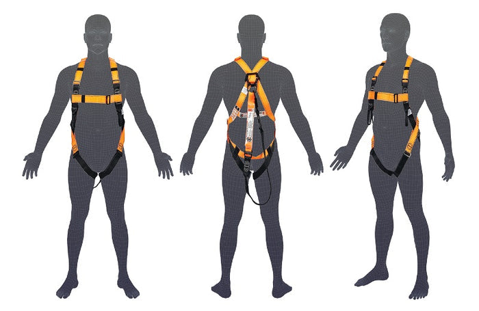 Pro Choice Essential Harness C/W Permanently Attached 1.8m Lanyard