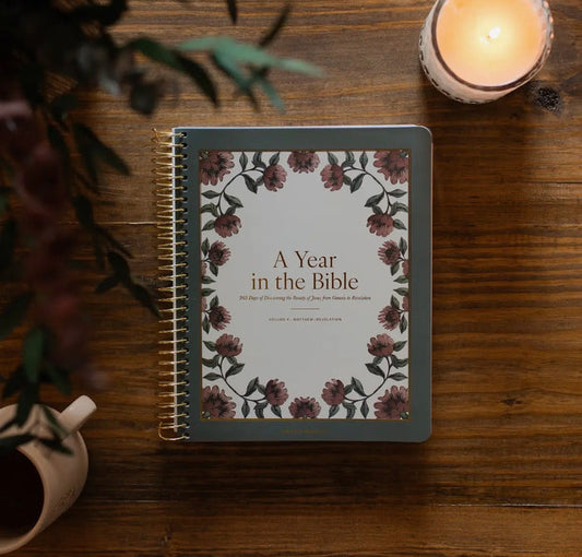 A year in the Bible