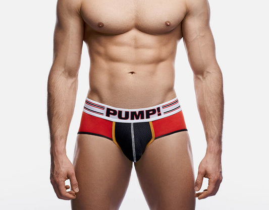 CIRCUIT BRIEF