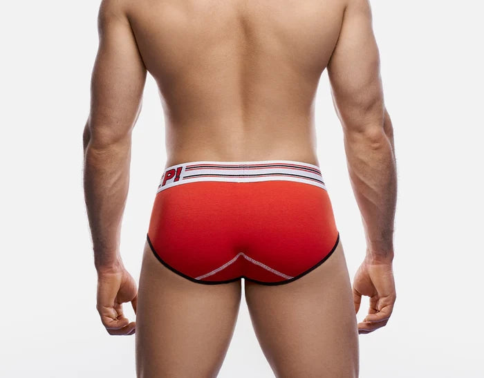 CIRCUIT BRIEF