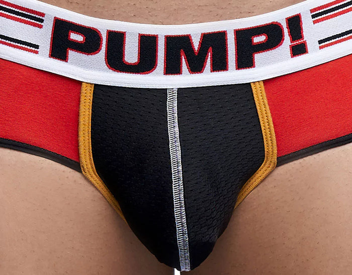 CIRCUIT BRIEF
