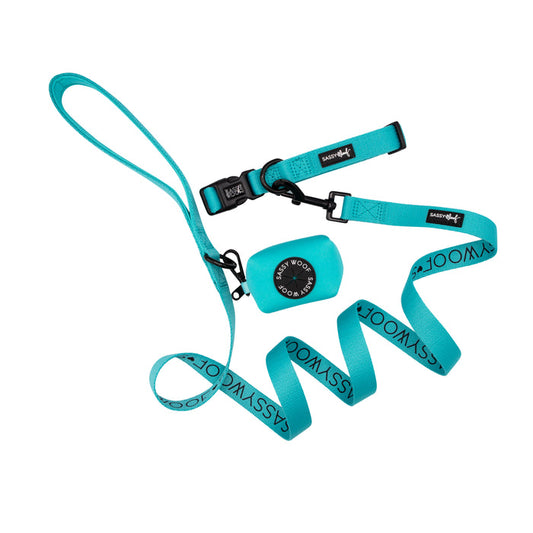The Sassy Woof Dog Collar Three Piece Bundle in Neon Blue—including a dog leash, collar, and matching waste bag holder with black hardware—is arranged neatly on a white background. All three accessories are branded with “Sassy Woof.”.