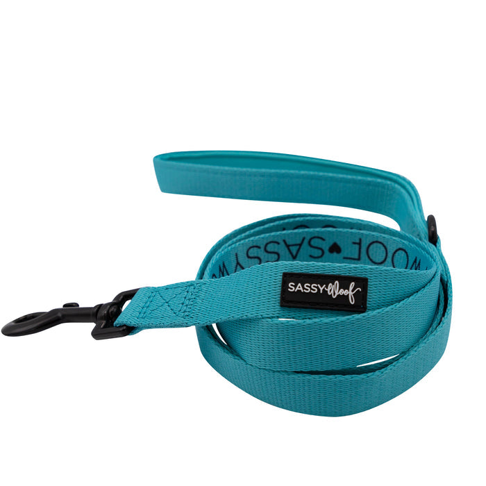 A vibrant neon blue dog collar from Sassy Woof, showcased coiled neatly against a white background—a stylish pick for those who love standout dog accessories.