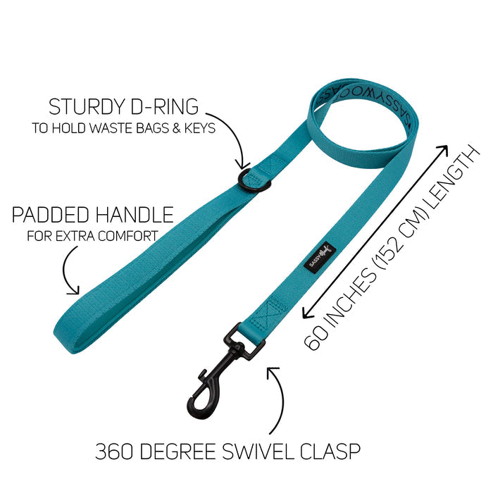 Pair your Neon Blue Dog Collar Three Piece Bundle from Sassy Woof with our teal dog leash, featuring a padded handle for comfort, sturdy D-ring for attaching bags or keys, a 60-inch (152 cm) length, and a 360-degree swivel clasp. Each feature is clearly labeled with arrows for easy reference and is designed to complement neon blue dog accessories.