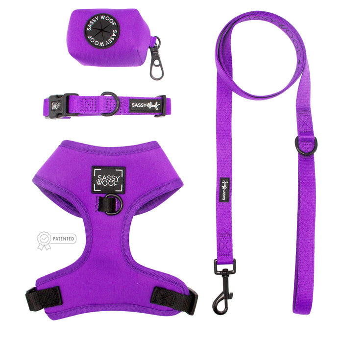 The Sassy Woof Dog Four Piece Bundle in Neon Purple includes a harness, adjustable collar, leash, and a small pouch, all shown on a white background.