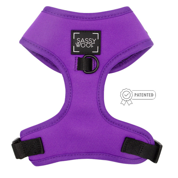 The Sassy Woof Dog Four Piece Bundle in neon purple features black buckles, a front metal ring, and a Patented badge—perfect for stylish pups on the go!.