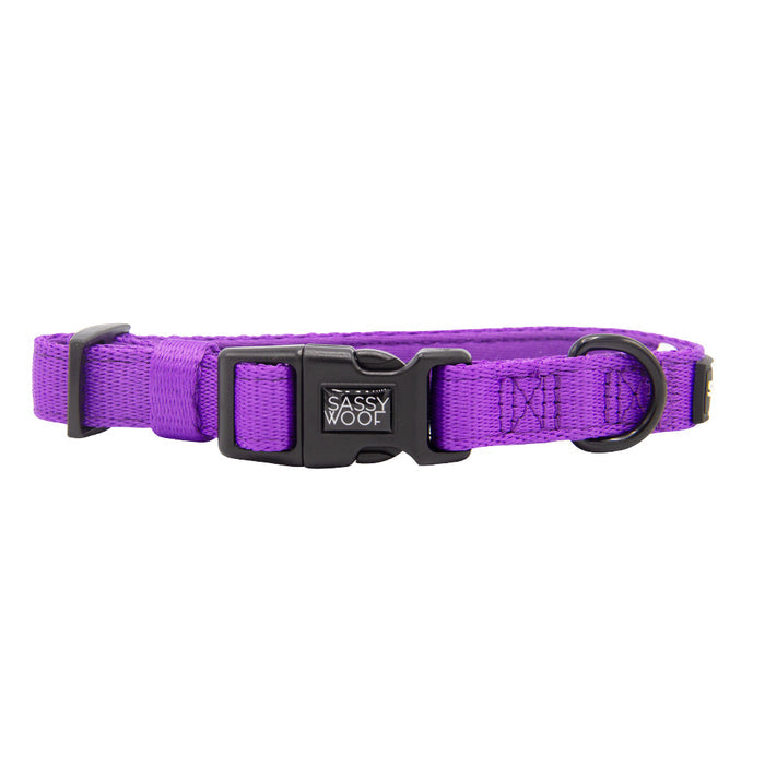 The Sassy Woof Dog Four Piece Bundle in neon purple features an adjustable collar with a black plastic buckle, metal D-ring, and signature tag—perfect to match with your favorite harness for stylish walks.