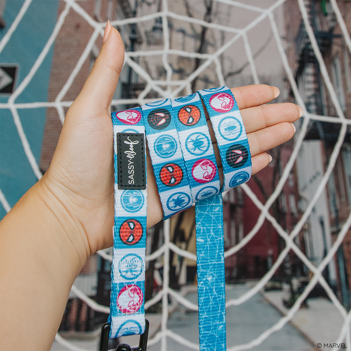 A hand holds the Sassy Woof Dog Leash - Marvel’s Spider-Man, featuring superhero symbols, in front of a large white spider web on a city street.