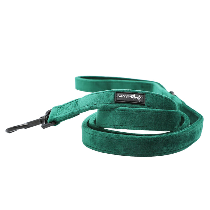 The Sassy Woof Dog Leash - Nice features green velvet, a black metal clasp, and a Sassy Woof label on the handle—perfectly pairing with our velvet dog accessories for the ultimate holiday look.