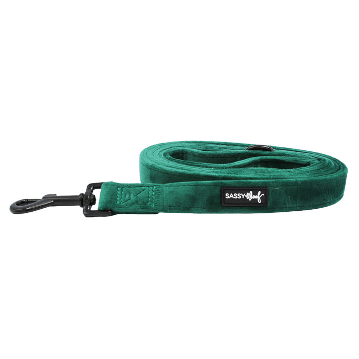 The Dog Leash - Nice by Sassy Woof is a green velvet dog leash with a black metal clip and a white "SASSY" label, perfect for holiday walks. Its soft texture and tidy stitching make it a standout among velvet dog accessories.