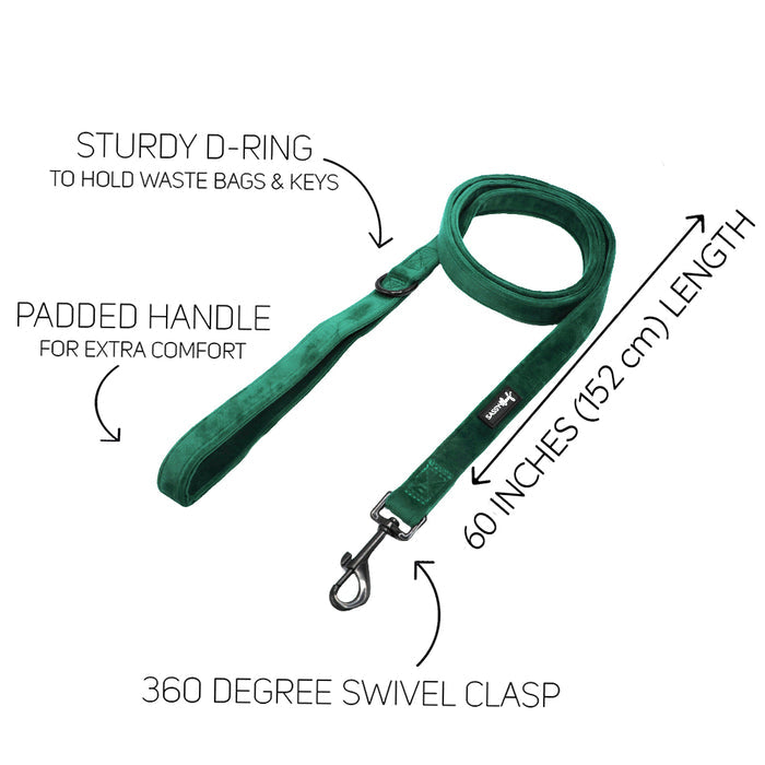 The Sassy Woof Dog Leash - Nice features a sturdy D-ring for waste bags and keys, padded handle, 60-inch length, and a 360° swivel clasp. Pairs well with velvet accessories or an adjustable harness. Shown laid flat on a white background.