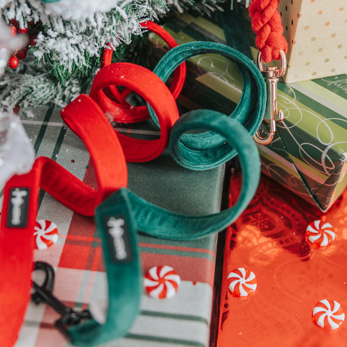 Two Sassy Woof "Dog Leash - Nice" leashes in red and green are displayed with gifts, peppermint candies, and a snow-dusted tree, adding festive flair to your holiday scene and pairing perfectly with your velvet dog accessories.