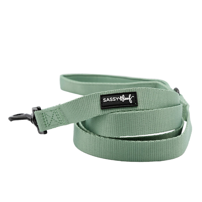 The Sassy Woof Dog Leash - Sage features a sage green color, black metal clip, padded handle, and black Sassy Woof label. Loosely coiled on a white background, it's perfect to pair with a matching harness.