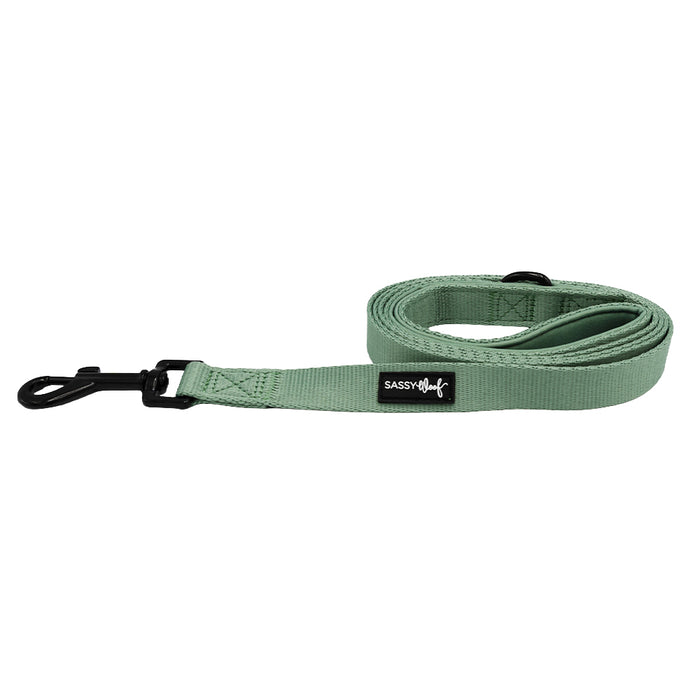 The Sassy Woof Dog Leash - Sage features a black metal clasp, padded handle, and signature label on a sage green strap—displayed rolled up on white, it's perfect to pair with the matching harness.