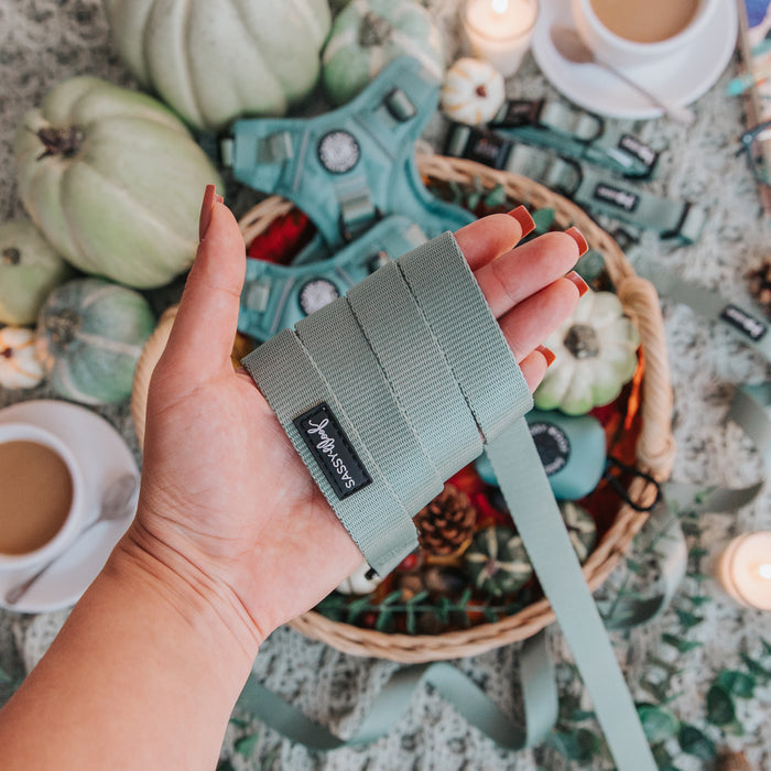 A hand holds the Sassy Woof Dog Leash - Sage with a padded handle. In the background, matching harnesses, green pumpkins, candles, and coffee cups sit on a patterned surface.
