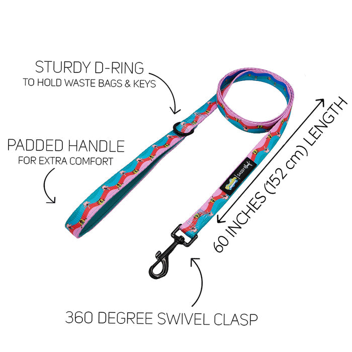 The Sassy Woof Dog Leash - SpongeBob SquarePants™ and Friends features a padded handle, sturdy D-ring for waste bags or keys, 360° swivel clasp, and a 60-inch (152 cm) length—perfect for stylish dog walks.