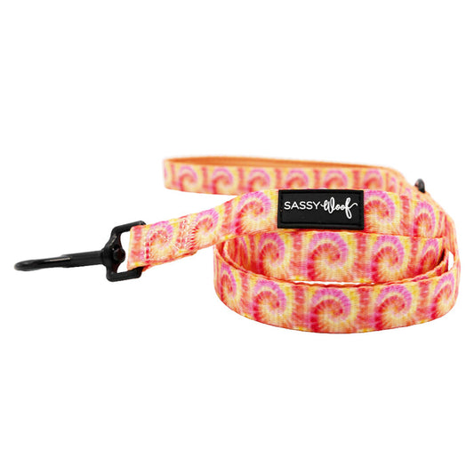 The Sassy Woof Dog Leash - Summer Sorbet features a padded handle for comfort and style.