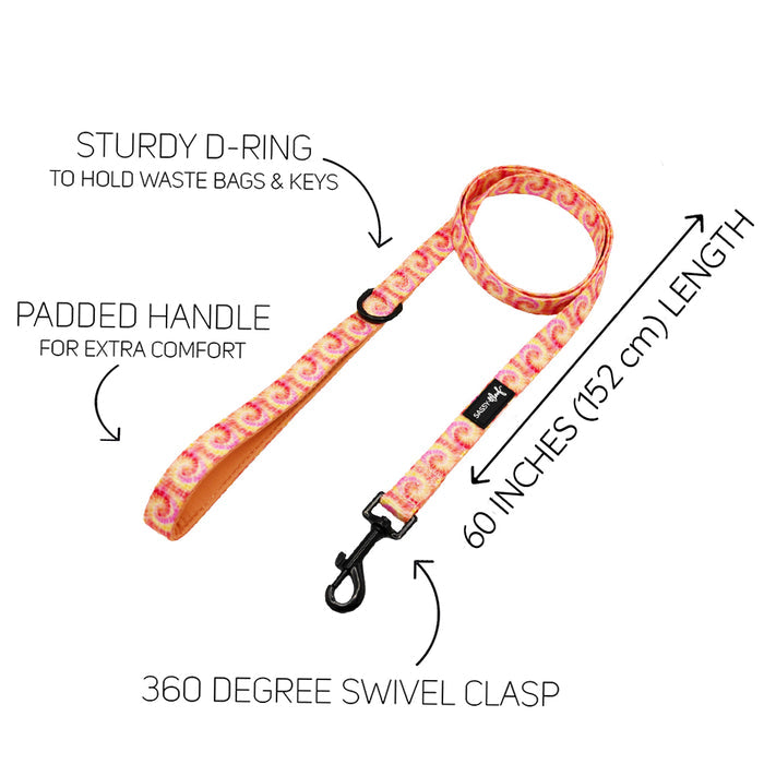 The Sassy Woof Dog Leash - Summer Sorbet features a sturdy D-ring for waste bags and keys, padded handle for comfort, 60-inch (152 cm) length, a 360° swivel clasp, and pairs perfectly with matching dog accessories.