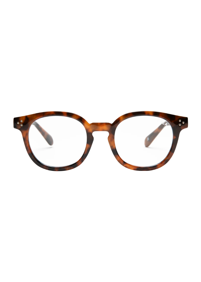 Hayden Blue Light Readers - Tort