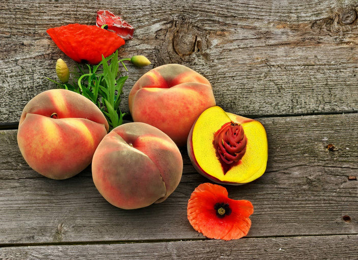Milkhouse Candle Company - Peaches & Poppies | 7 oz Classic Statement Candle