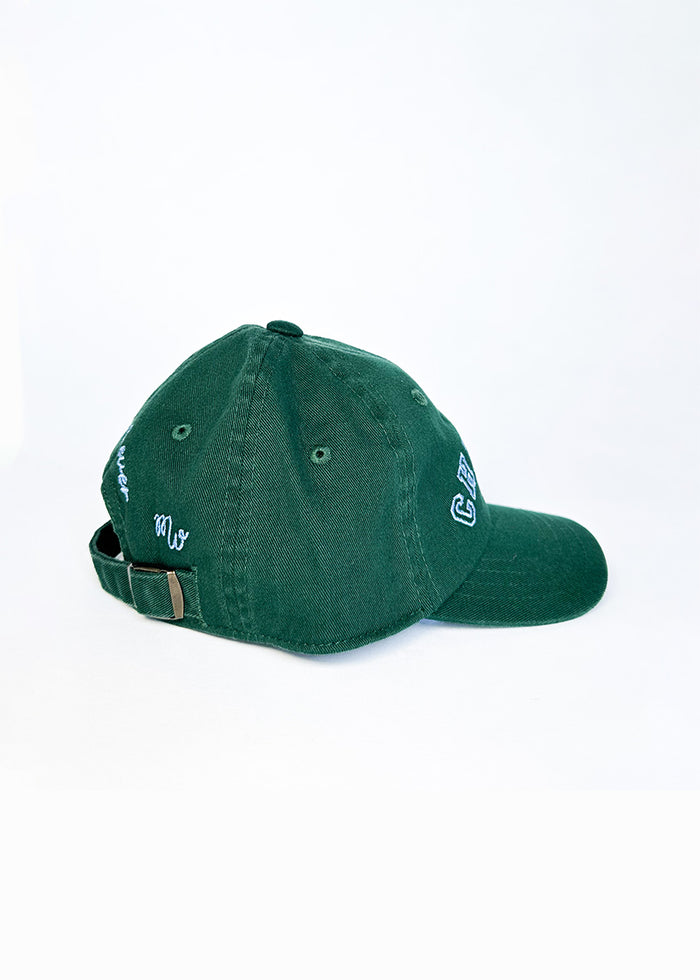 Toddler Chicago Arch Dad Hat - Green & Blue