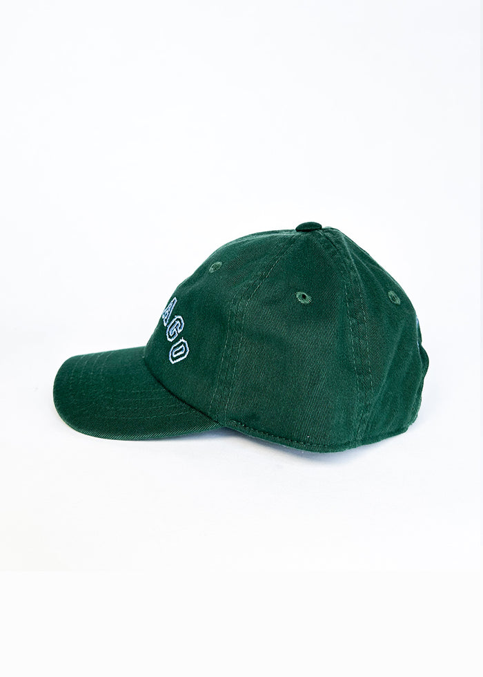 Toddler Chicago Arch Dad Hat - Green & Blue