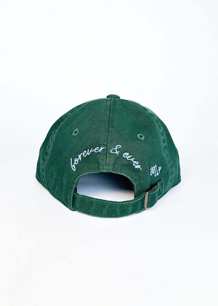 Toddler Chicago Arch Dad Hat - Green & Blue