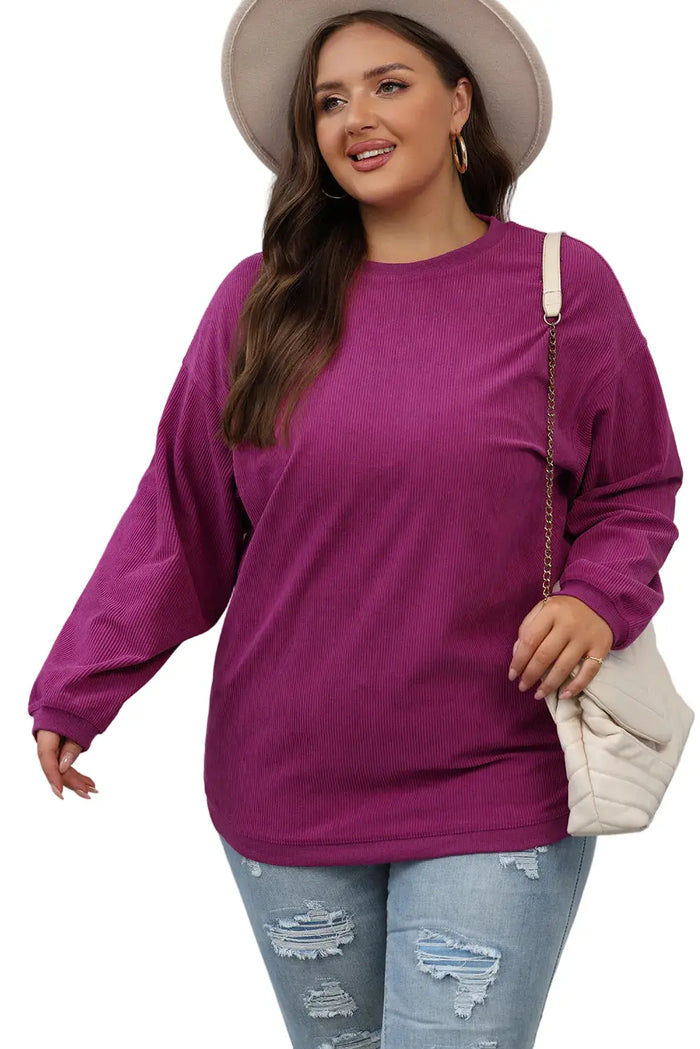 FESTIVAL FUCHSIA / S