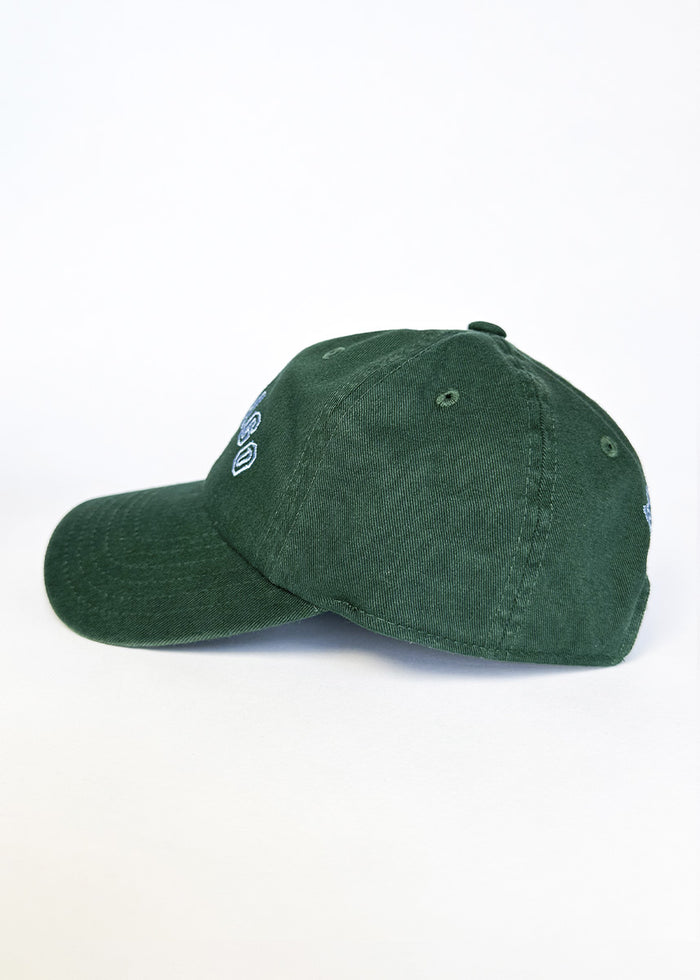Youth Chicago Arch Dad Hat - Green & Blue